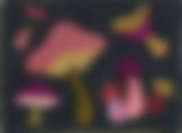 auction-image