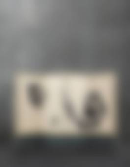 auction-image