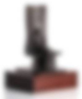 auction-image
