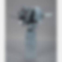 auction-image