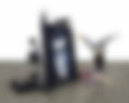 auction-image