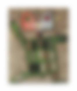 auction-image