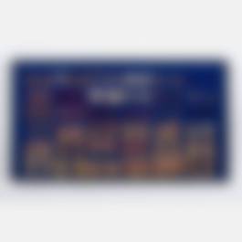 auction-image