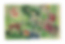 auction-image