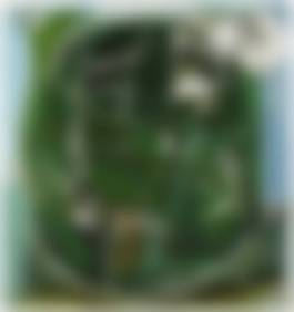 auction-image