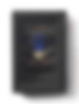 auction-image