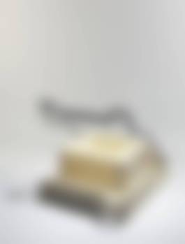auction-image