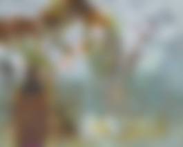 auction-image