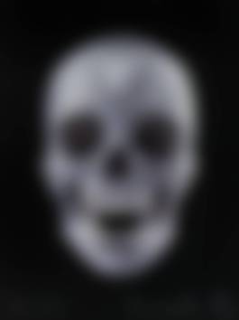 auction-image