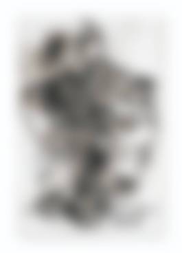 auction-image