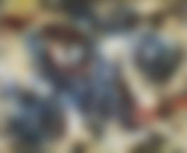 auction-image
