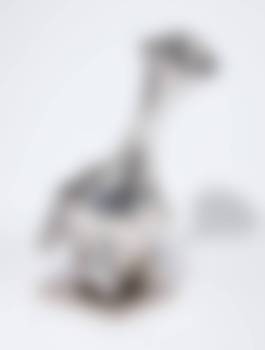 auction-image