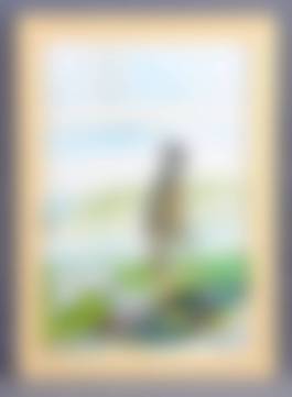 auction-image
