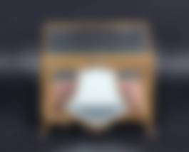 auction-image