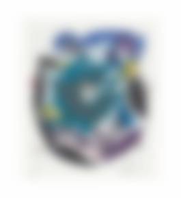 auction-image
