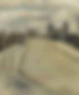 auction-image