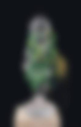auction-image
