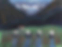 auction-image