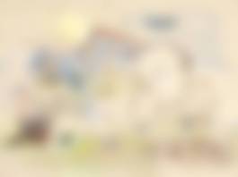 auction-image