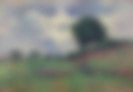 auction-image