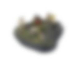 auction-image