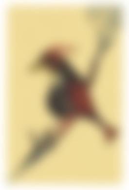 auction-image