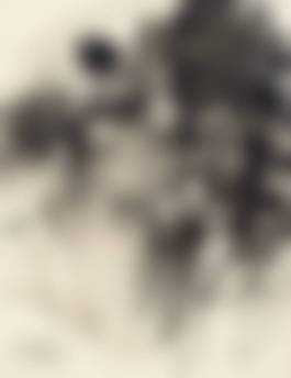 auction-image