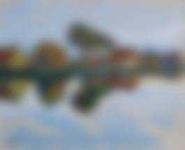 auction-image