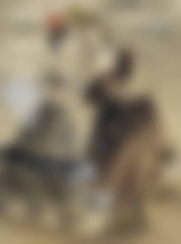 auction-image
