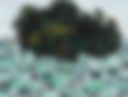 auction-image