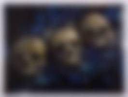 auction-image
