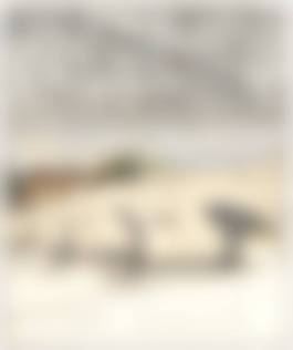 auction-image