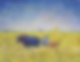 auction-image