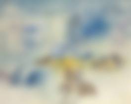 auction-image