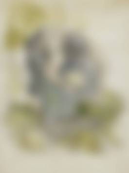 auction-image