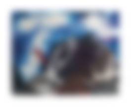 auction-image