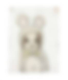 auction-image