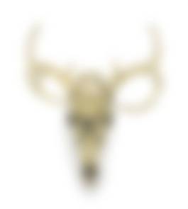 auction-image