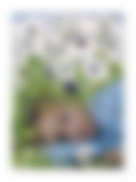 auction-image