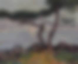 auction-image