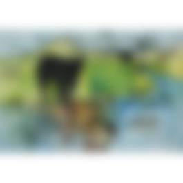 auction-image