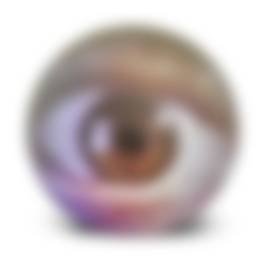 auction-image