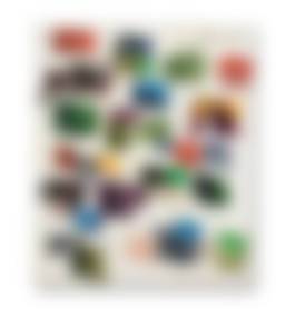 auction-image