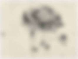 auction-image
