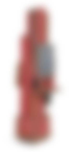 auction-image