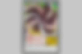 auction-image