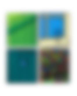 auction-image