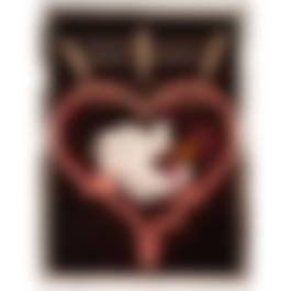 auction-image