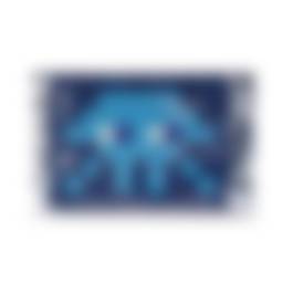 auction-image