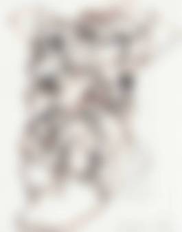 auction-image